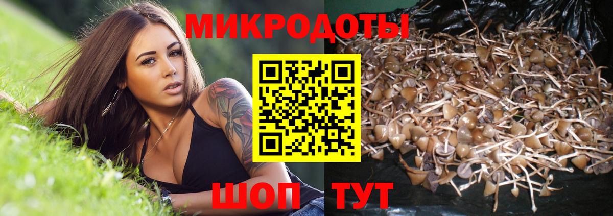 Галлюциногенные грибы прущие грибы Зеленокумск